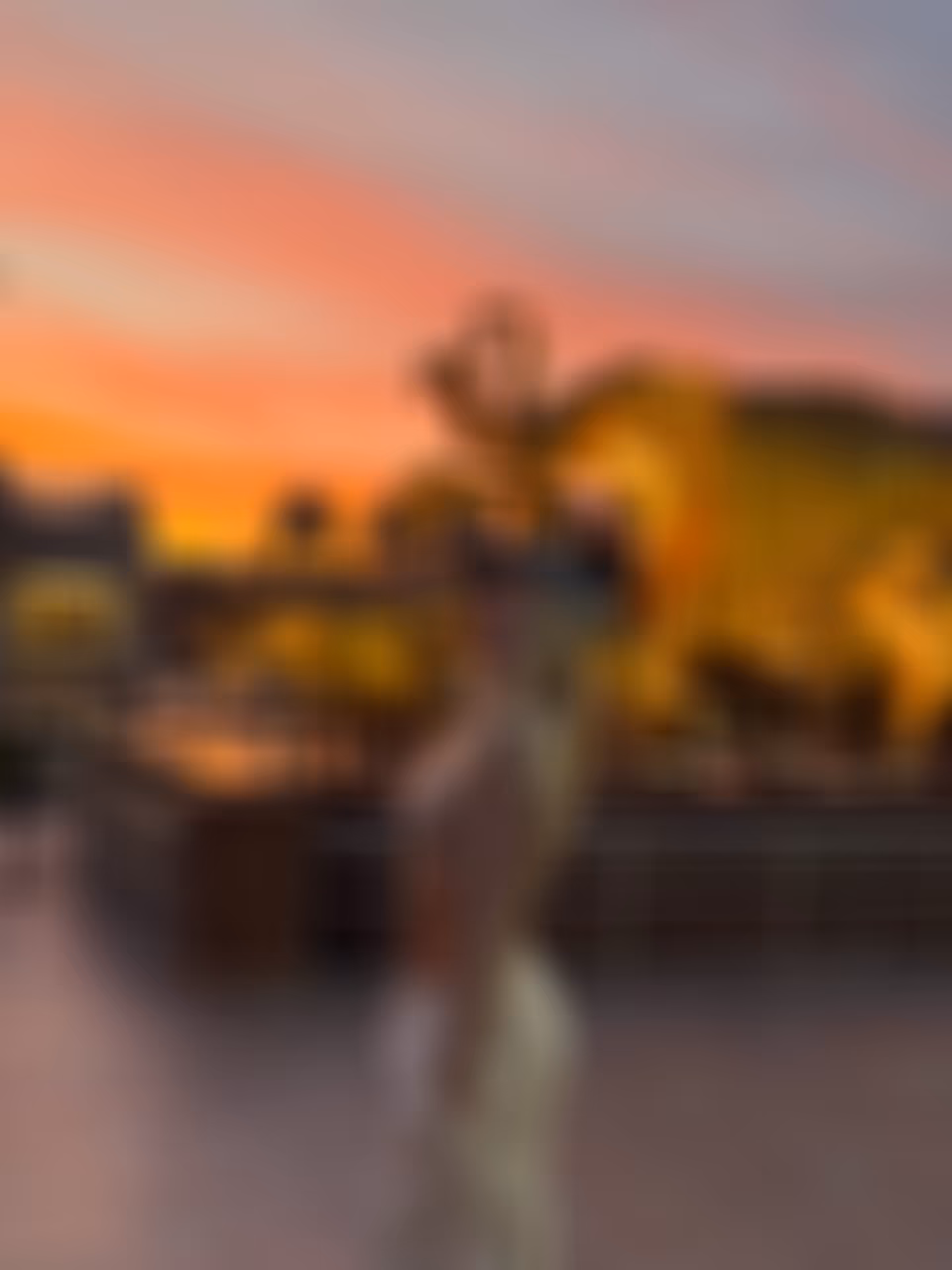 Elleonora rencontre femme 30 ans